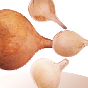 Calabashes (Tuihuri)